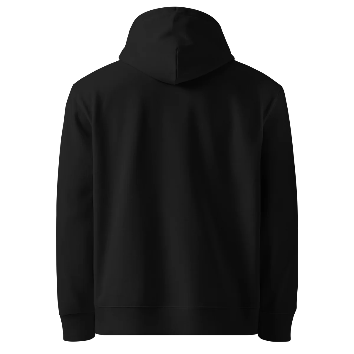 Hoodie Unwritten, klassische Passform in Schwarz, Rückansicht ohne Aufdruck