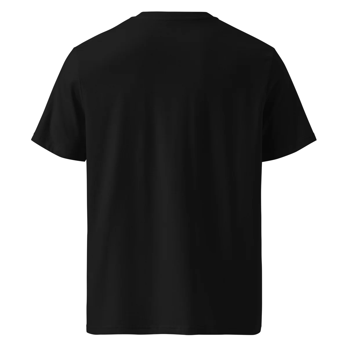 Unwritten classic-fit t-shirt in black, plain back view